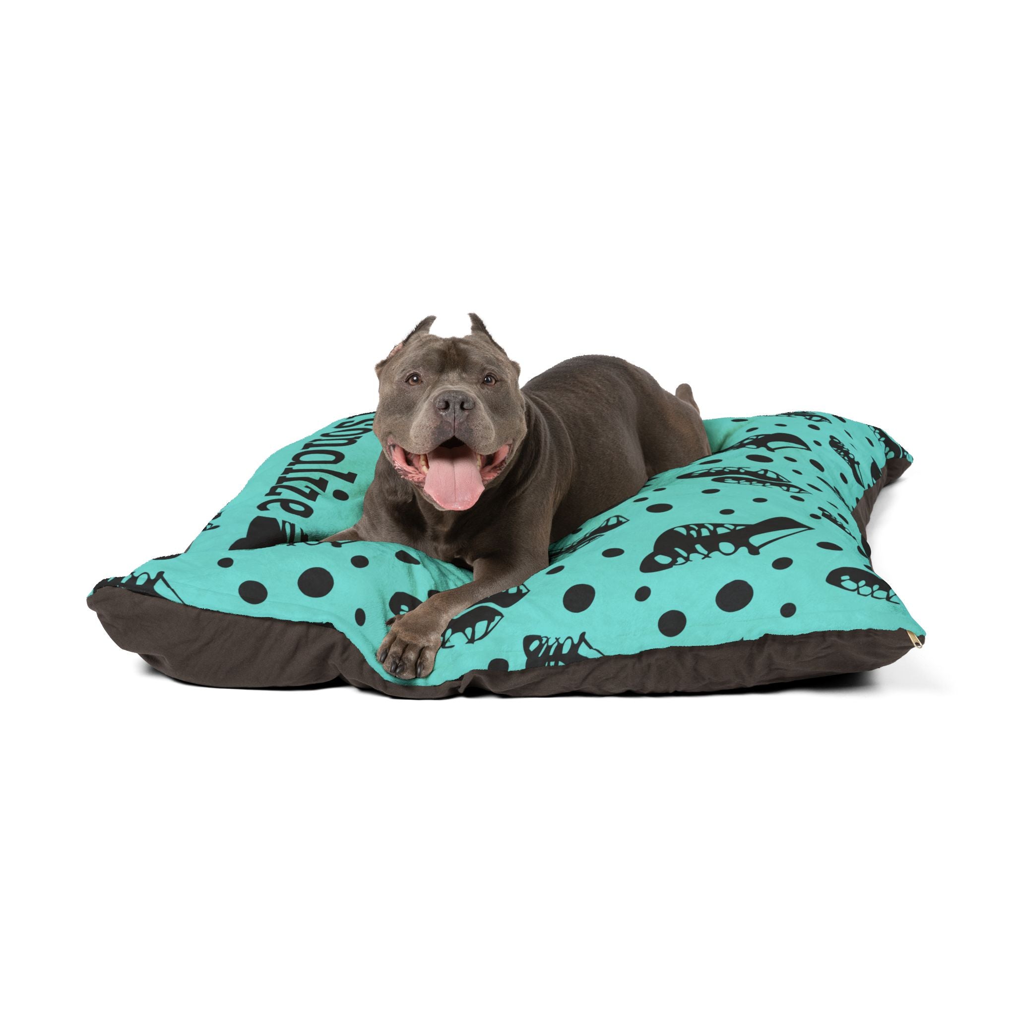 Irish dance soft shoe pet bed in a larger size for medium dogs