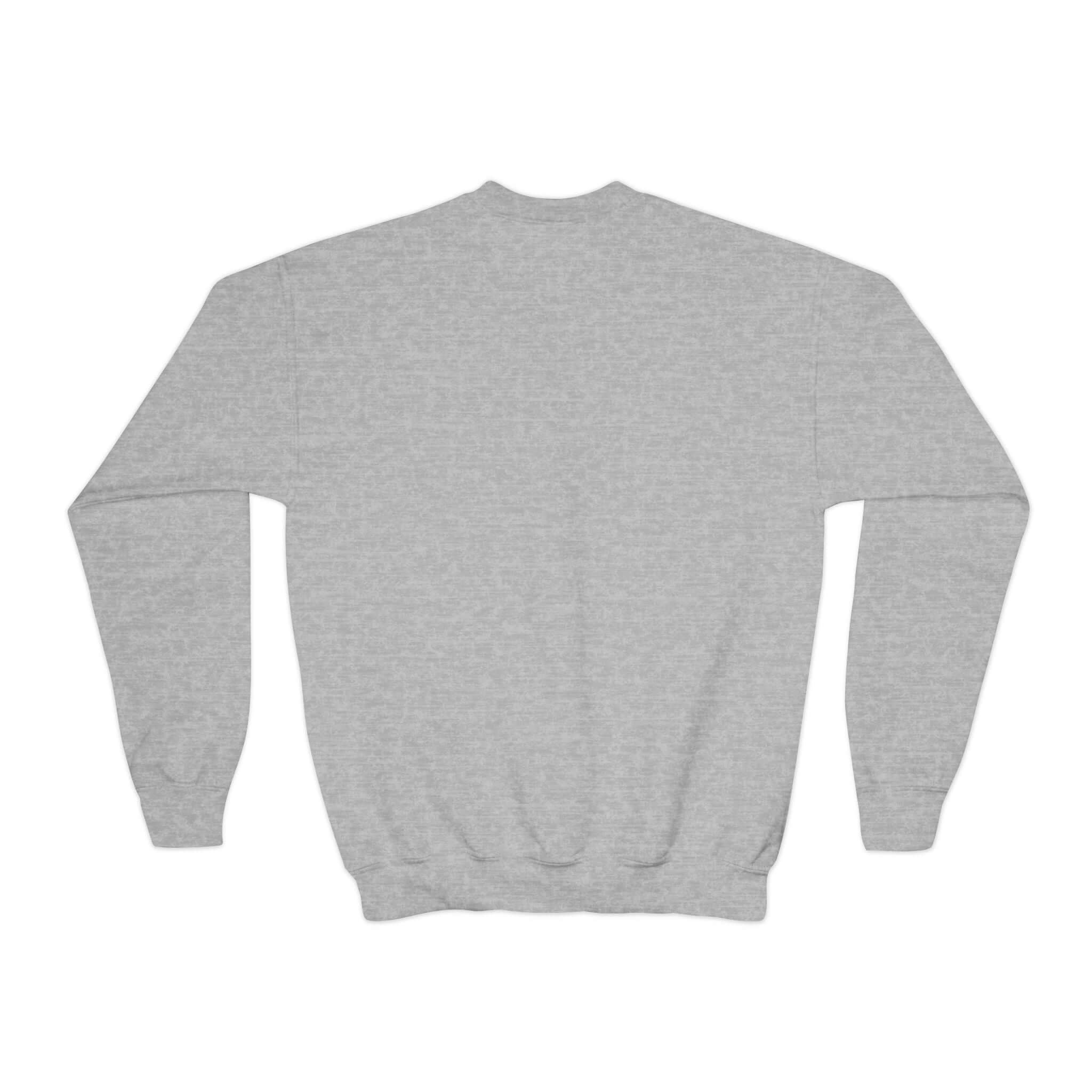 Irish Dance Jumper, Dance School Sweatshirt , O'Malley Youth Crewneck, Irish Dance Sweater, crewneck