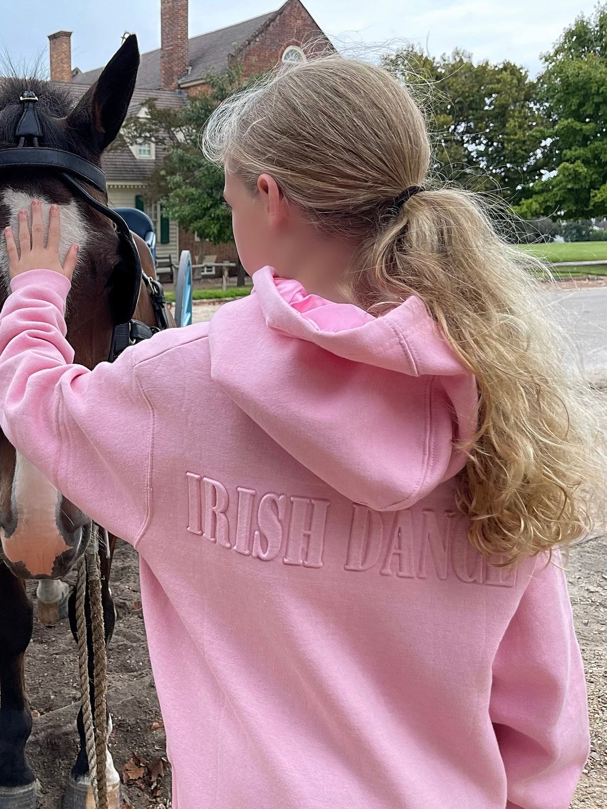 Person wearing a pink hoodie with 'Irish Dance' text, petting a horse.