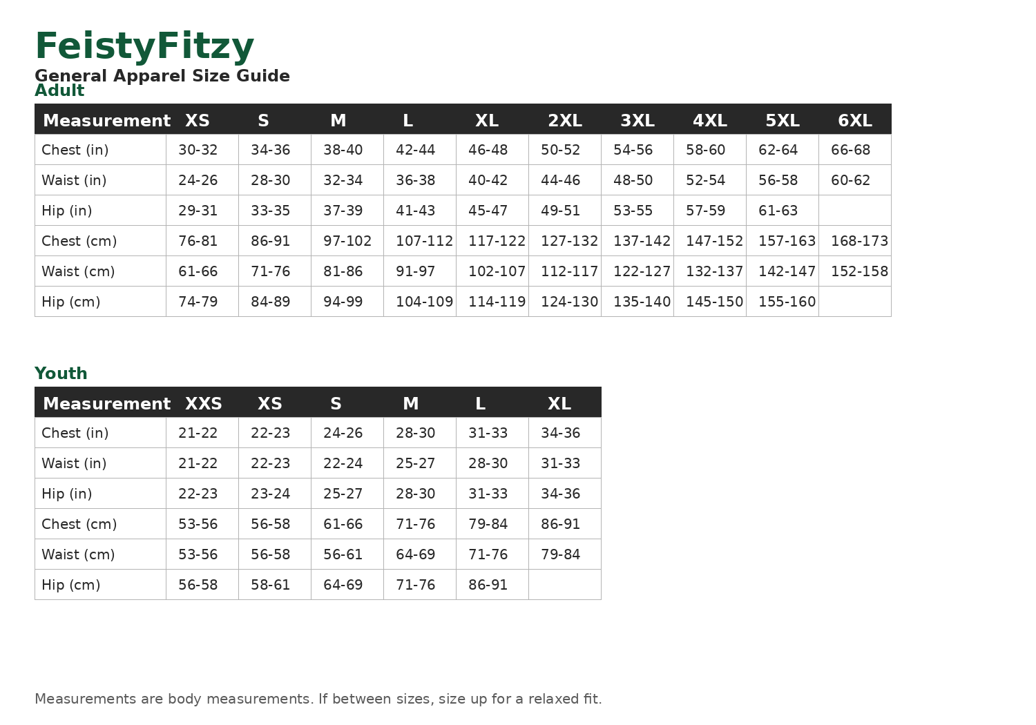 A size guide chart for FeistyFitzy General Apparel Size Adult, showing body measurements in inches and centimeters forXS through 6XL for both Youth and Adult categories.
